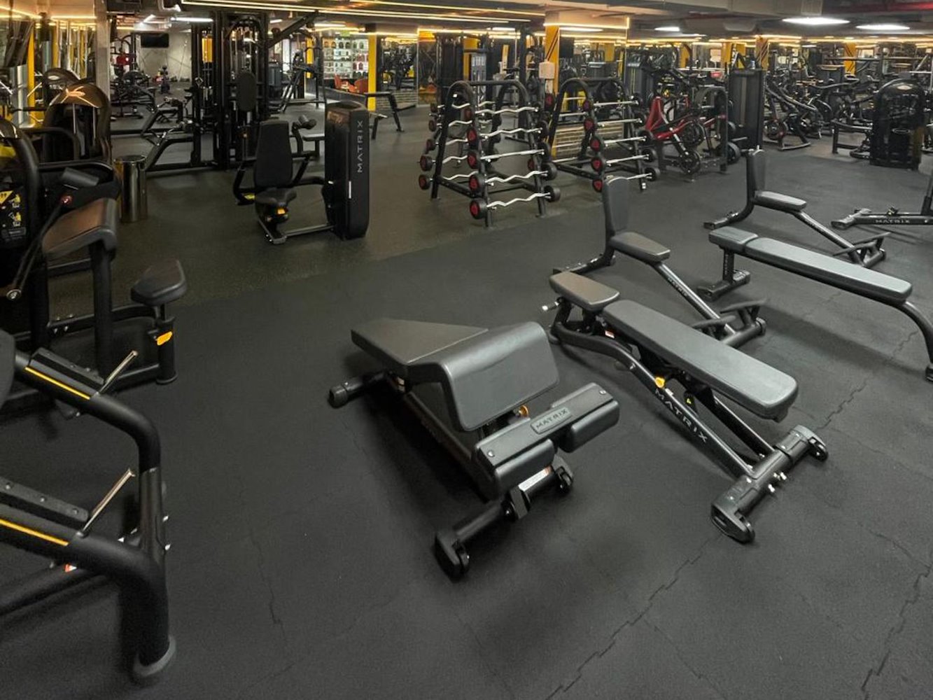 World of Champions Gym - фото 7