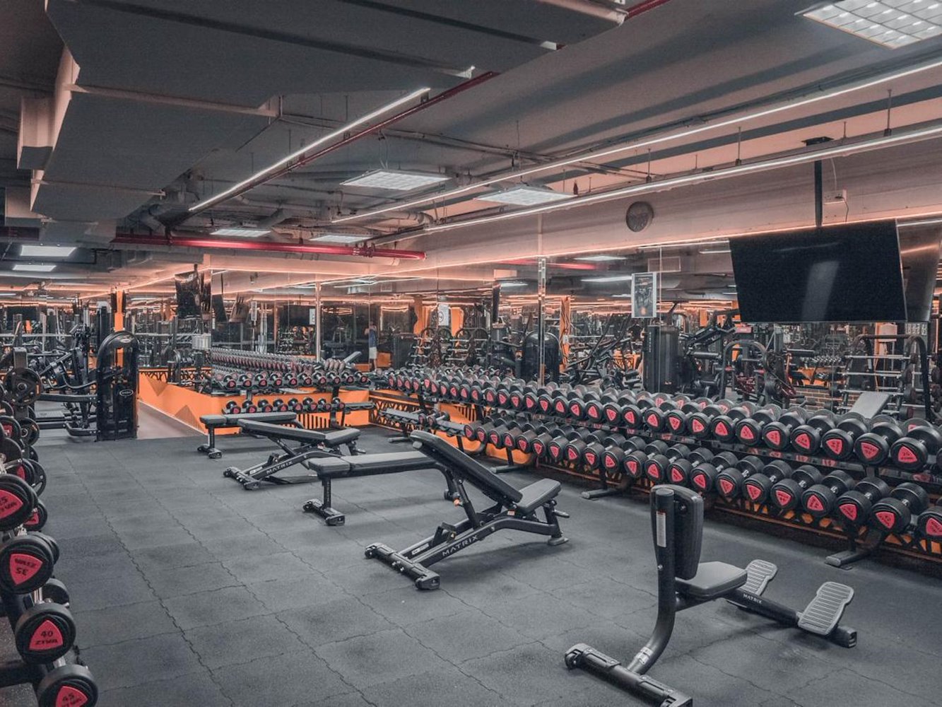 World of Champions Gym - фото 10