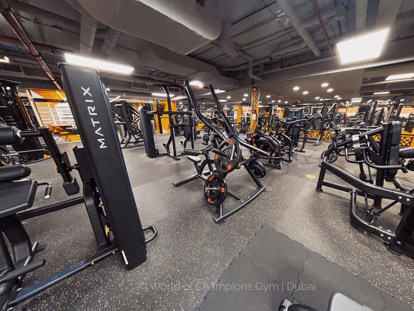 World of Champions Gym - фото 2