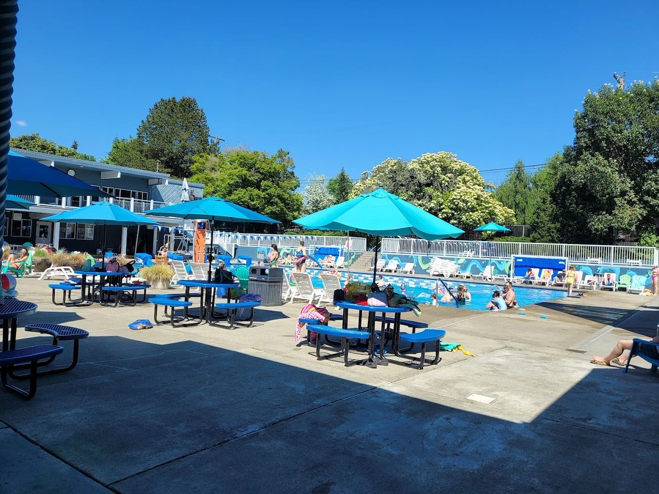 Samena Swim & Recreation Club - фото 3