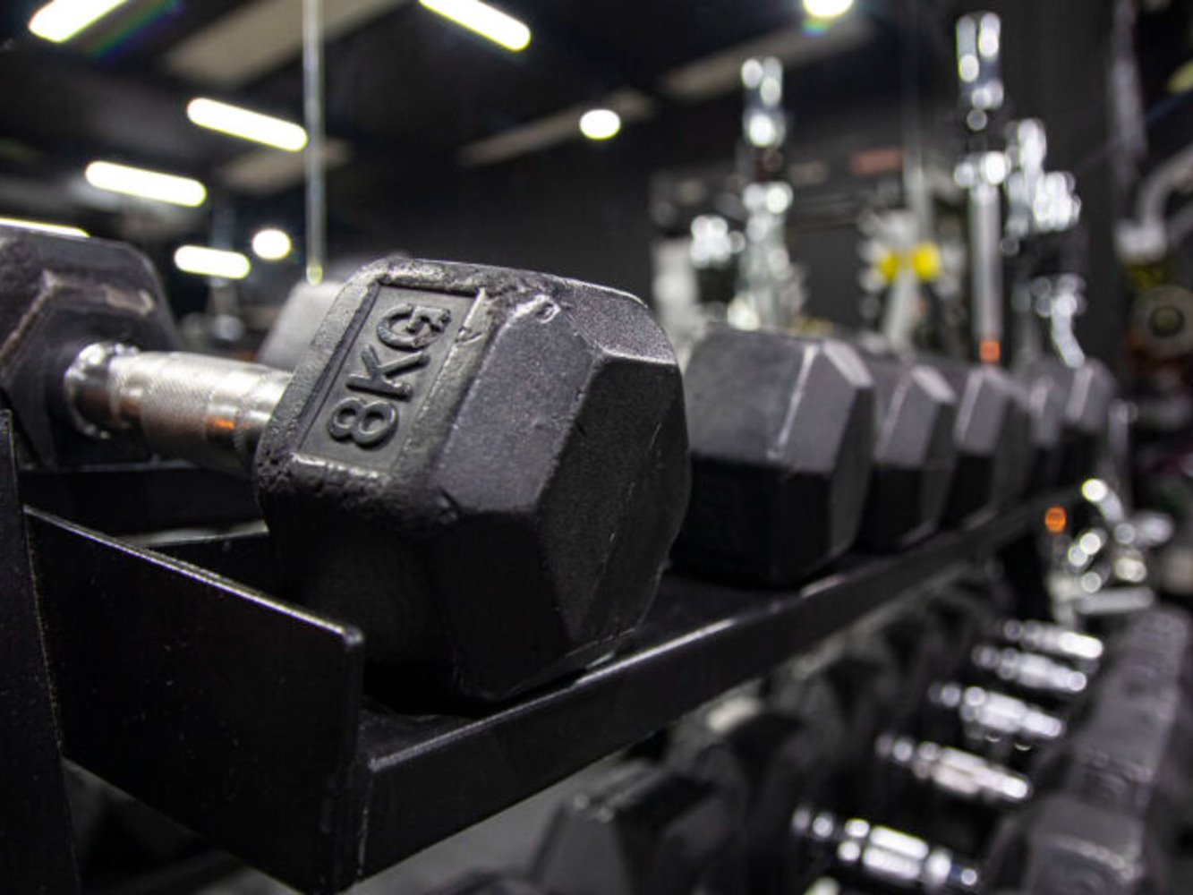BlackFitness - фото 13