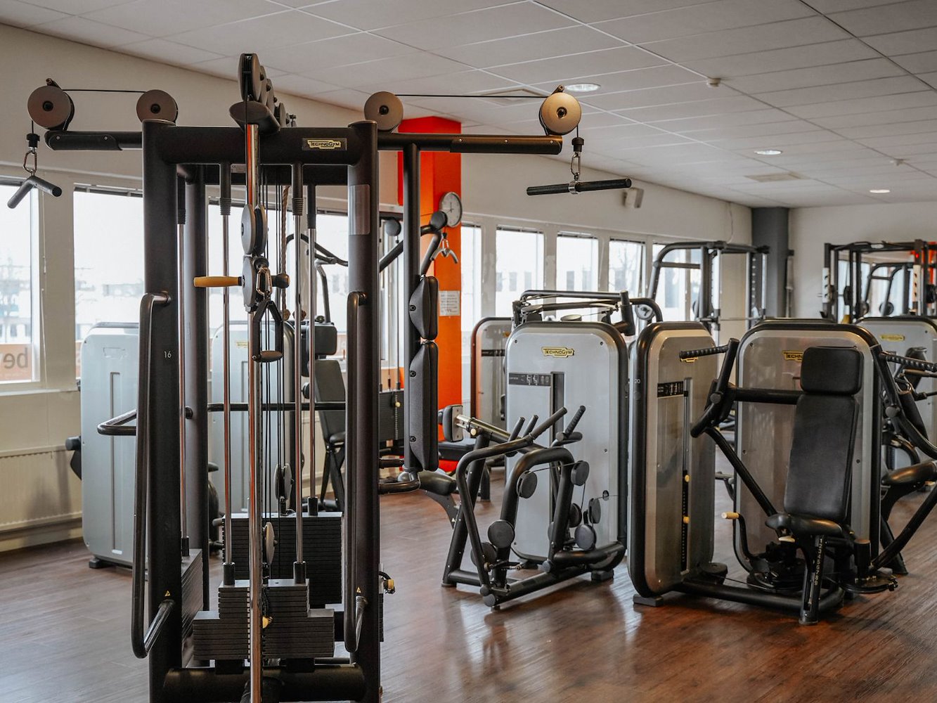 Bewellness - фото 1
