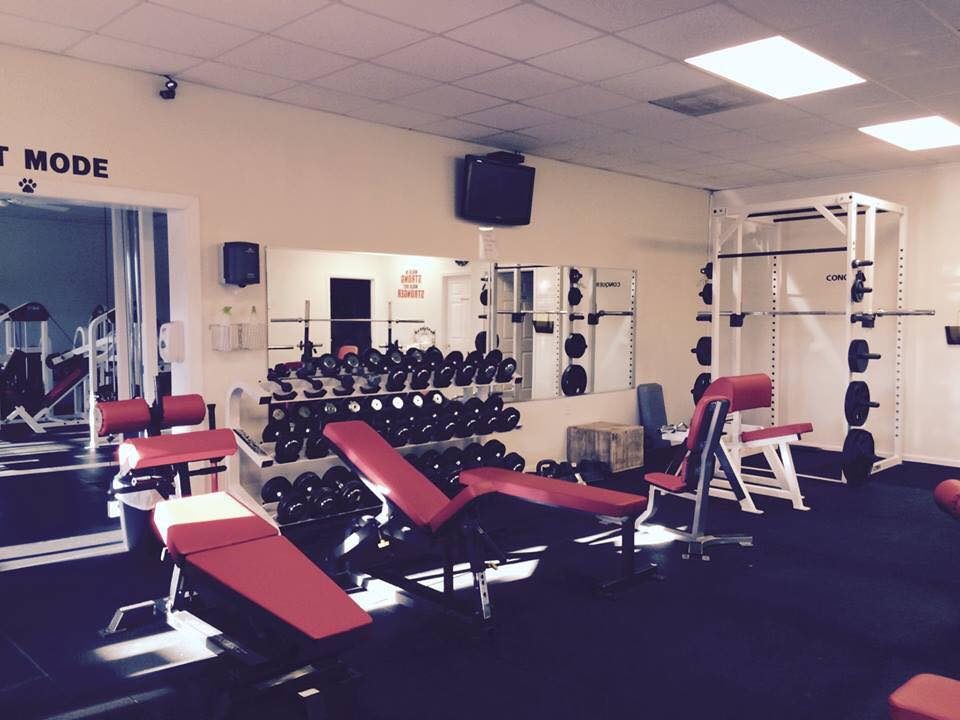 Bulldog Gym - фото 2