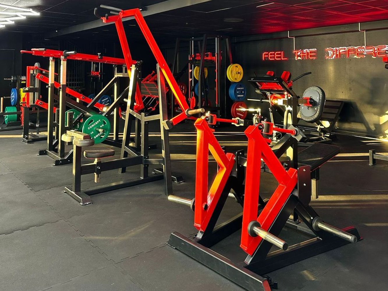 Stamina Fitness - фото 2