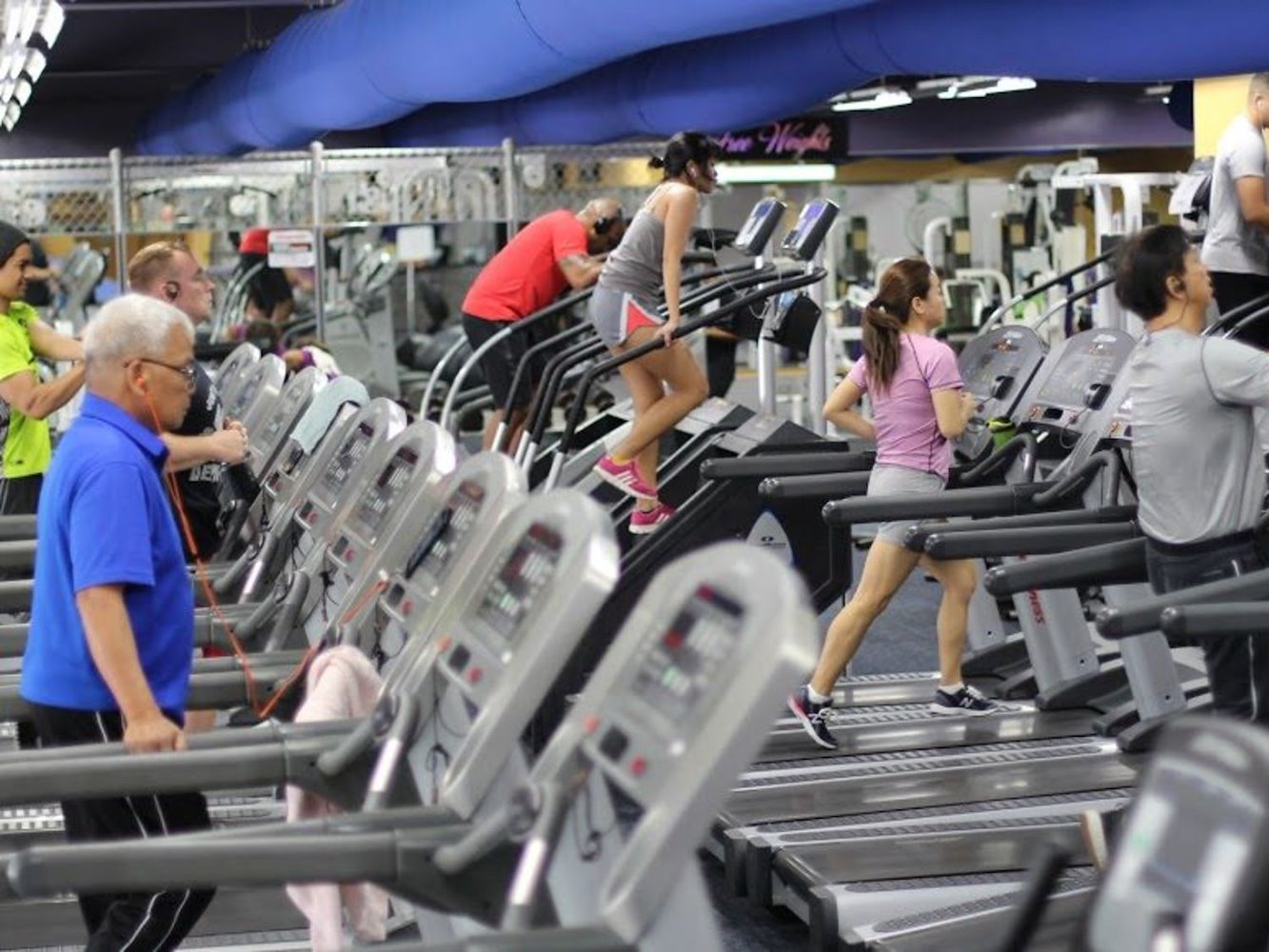 Paradise Fitness Premium Fountain Plaza - фото 5