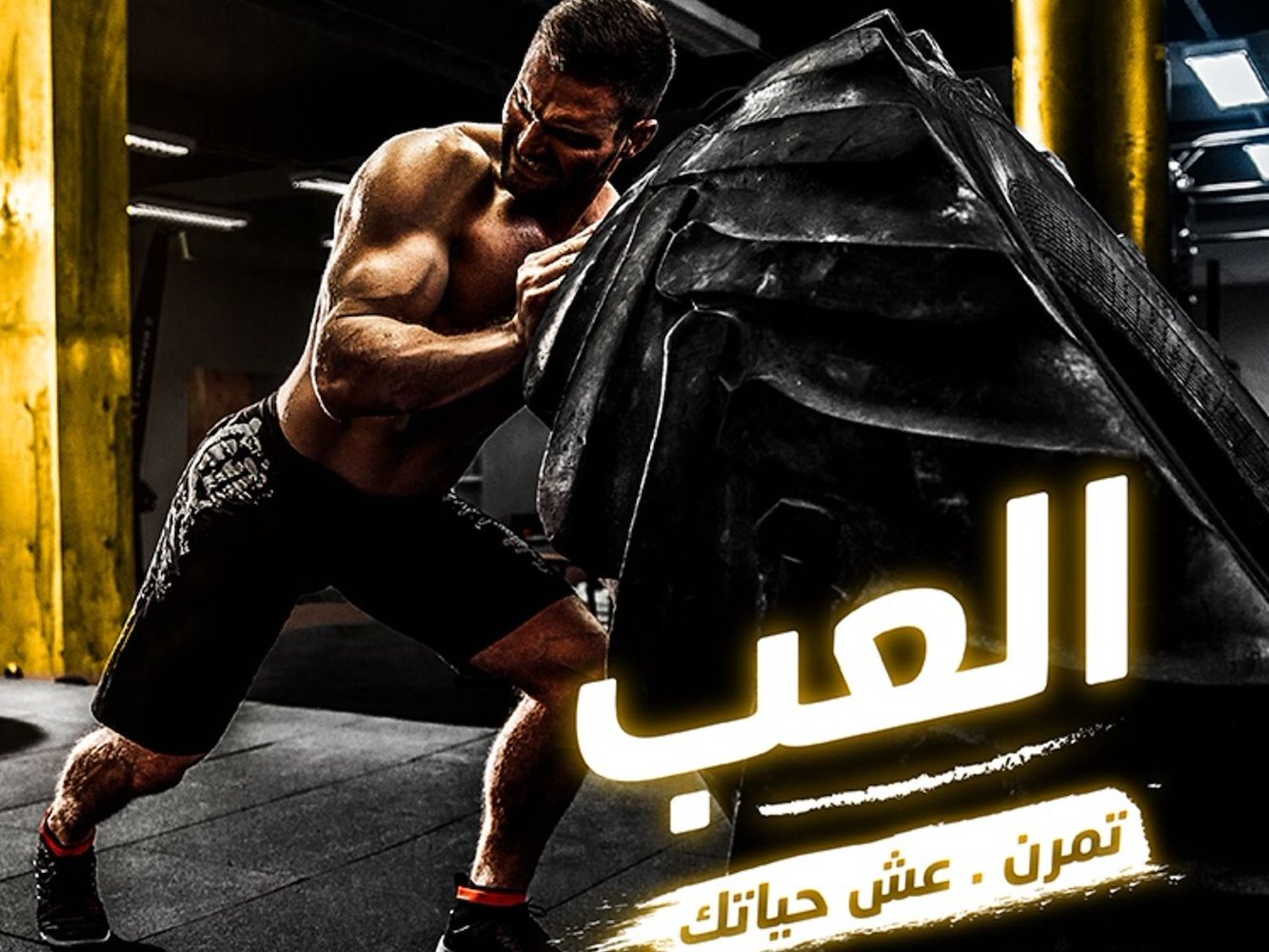 Body Masters - Badea - фото 4
