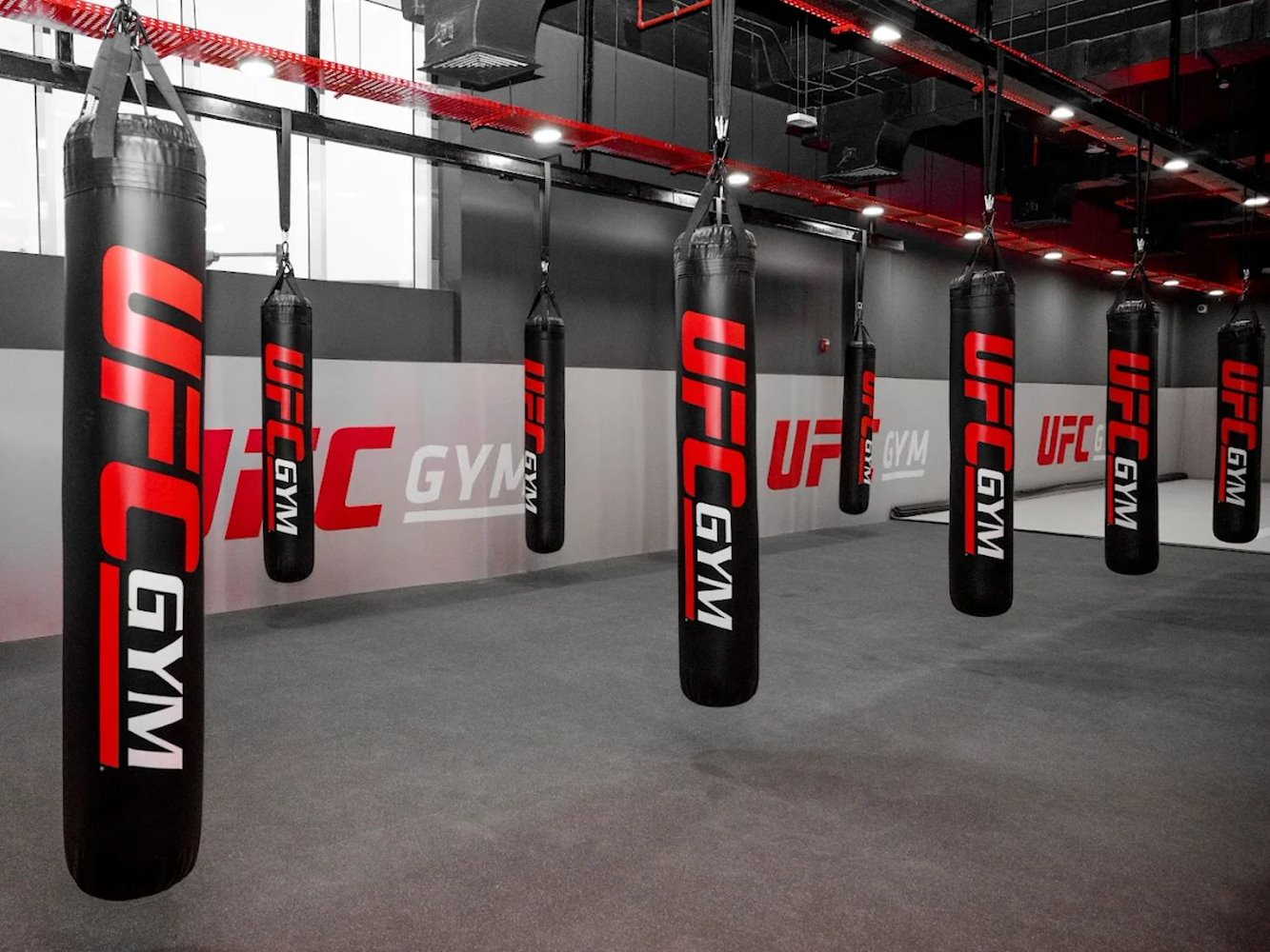 UFC Gym - Qatar