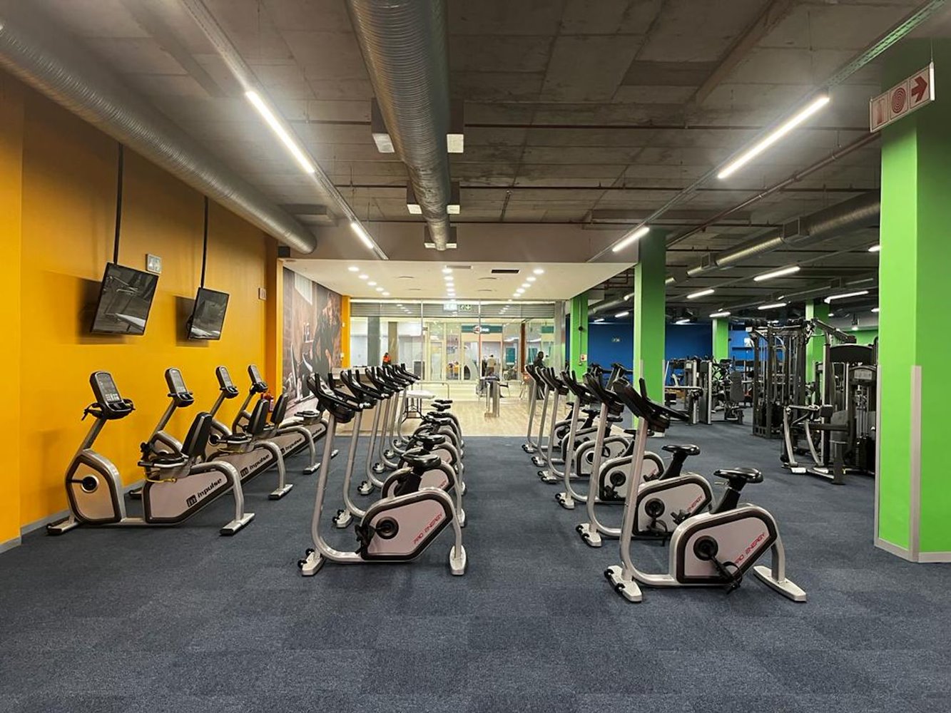 Zone Fitness -Tokai - фото 1