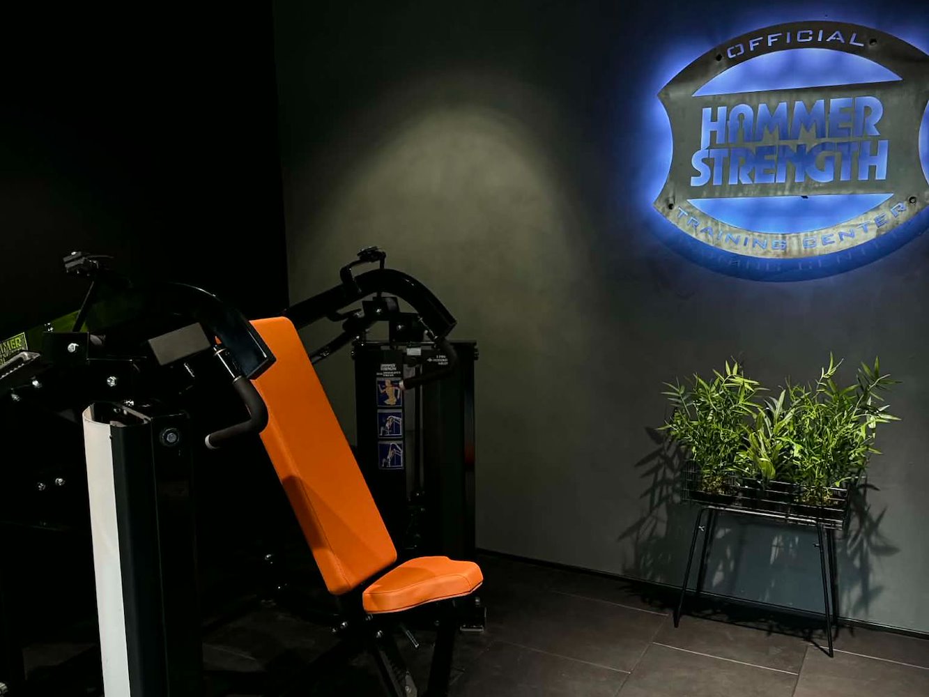 Next Gen Fitness - фото 3