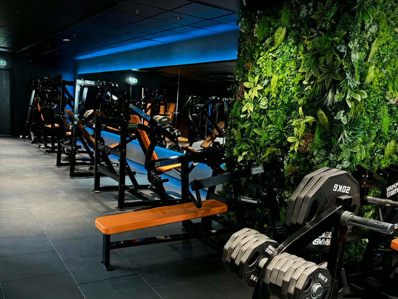Next Gen Fitness - фото 1