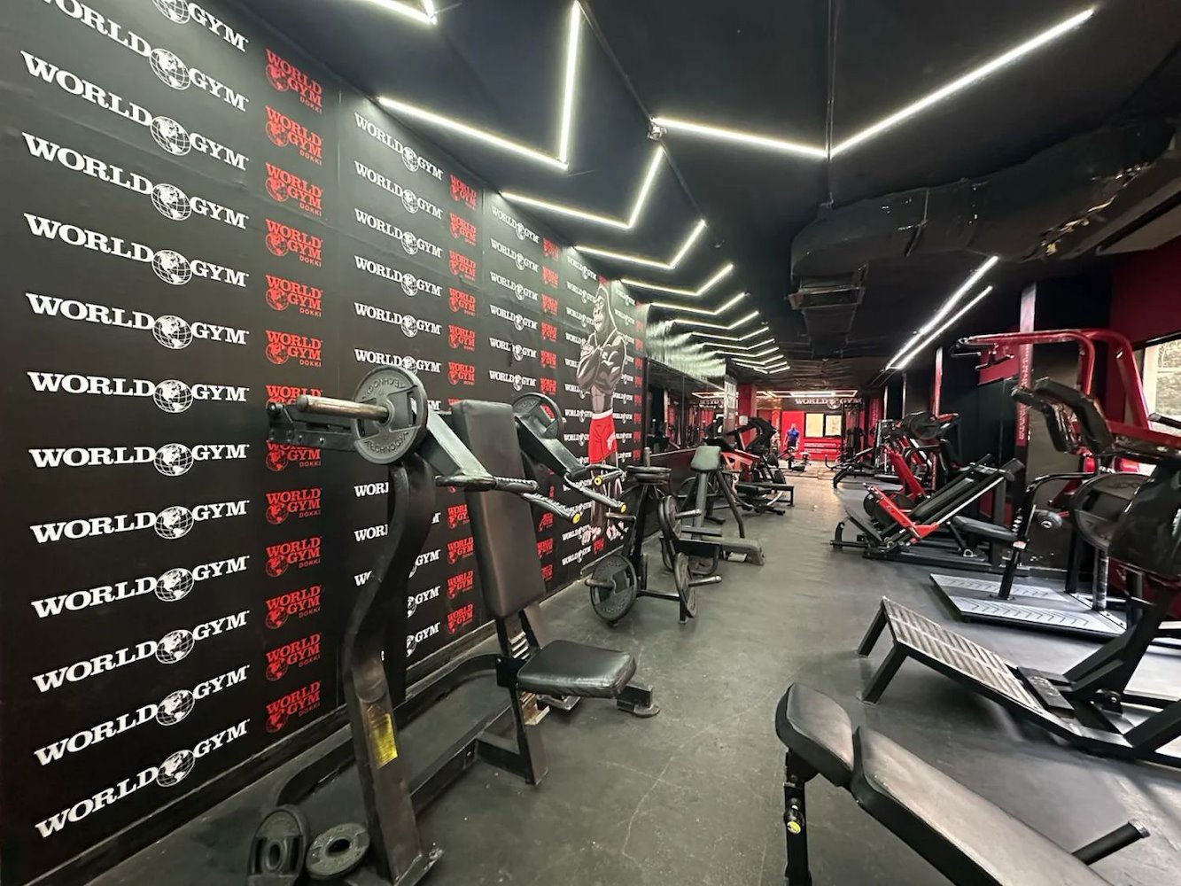 World Gym Dokki - фото 7