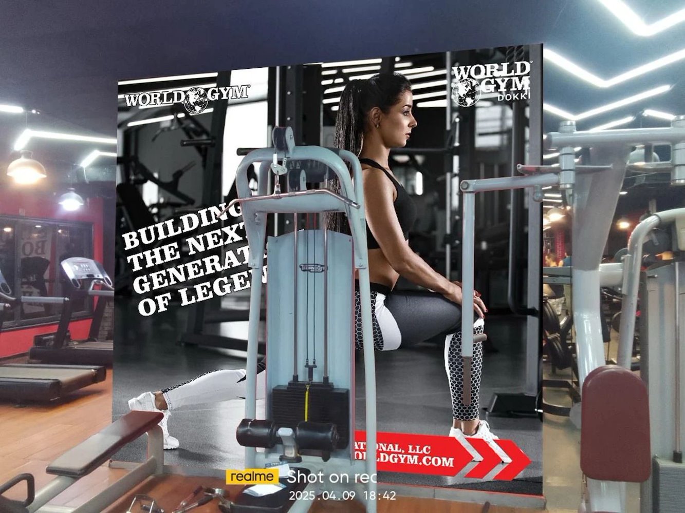World Gym Dokki - фото 3