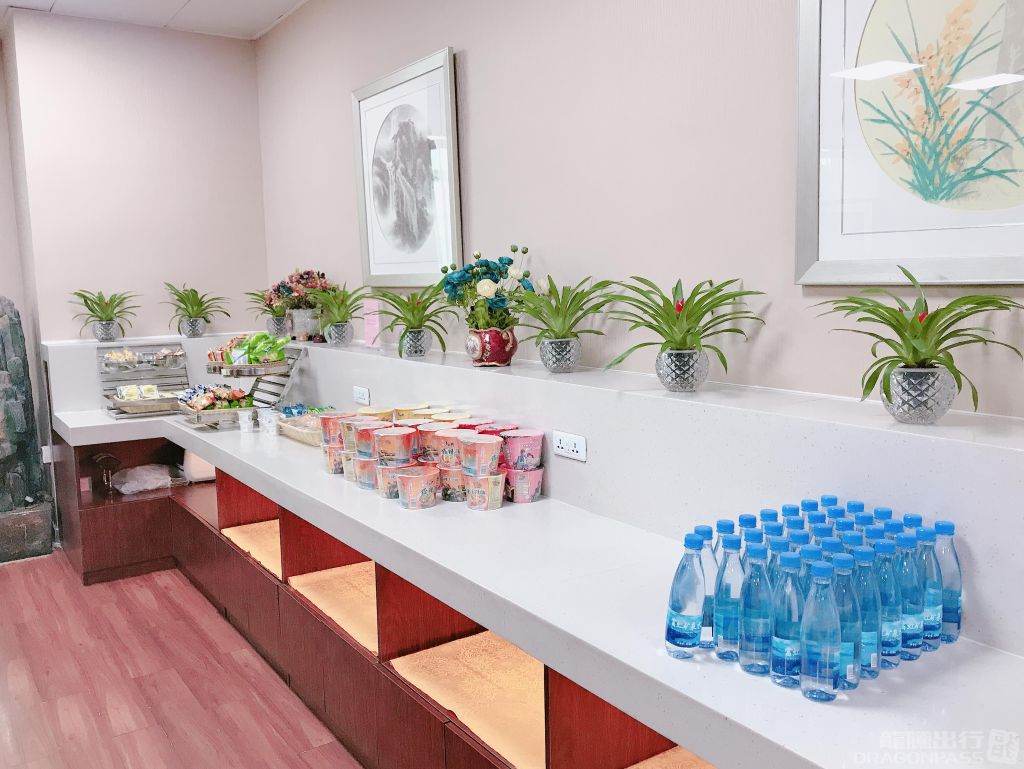No.3 First Class Lounge (Terminal 3) — food & bar