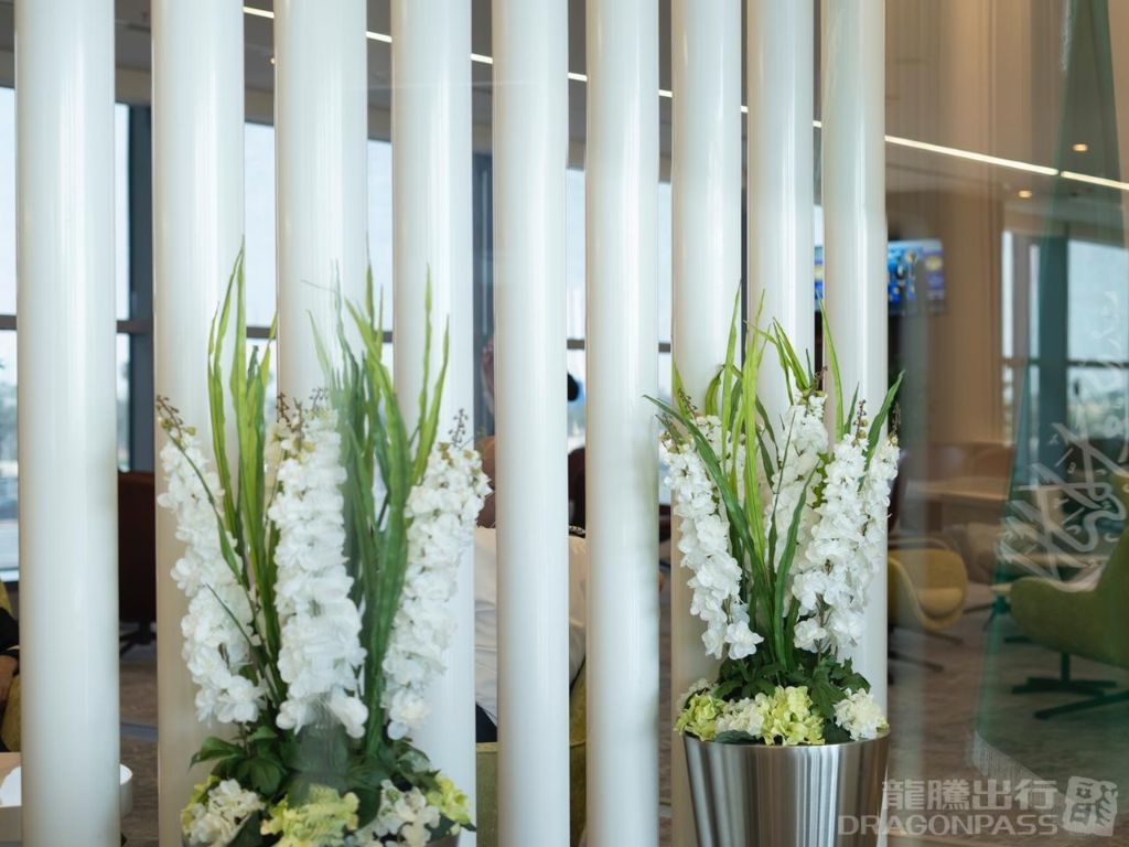 Flynas Lounge