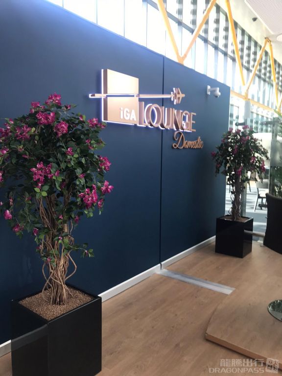 iGA Lounge
