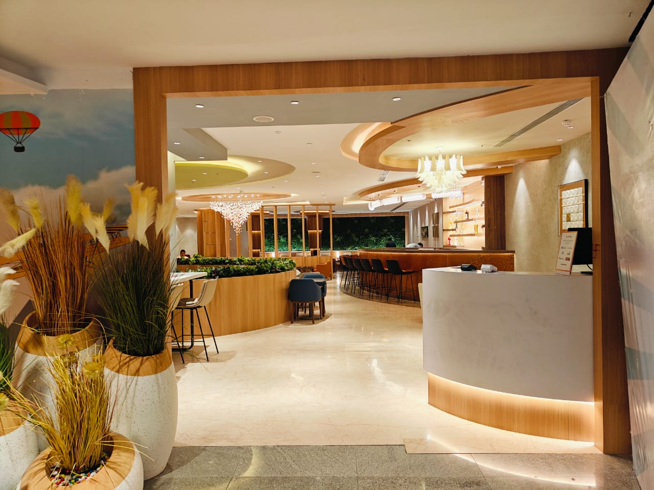 Elysian Executive Lounge - Domestic