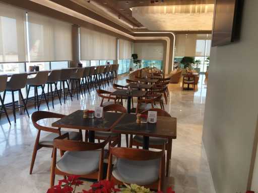 ADANI SILVER LOUNGE image