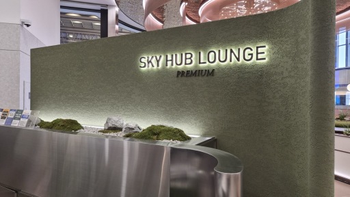 Sky Hub Lounge Premium image