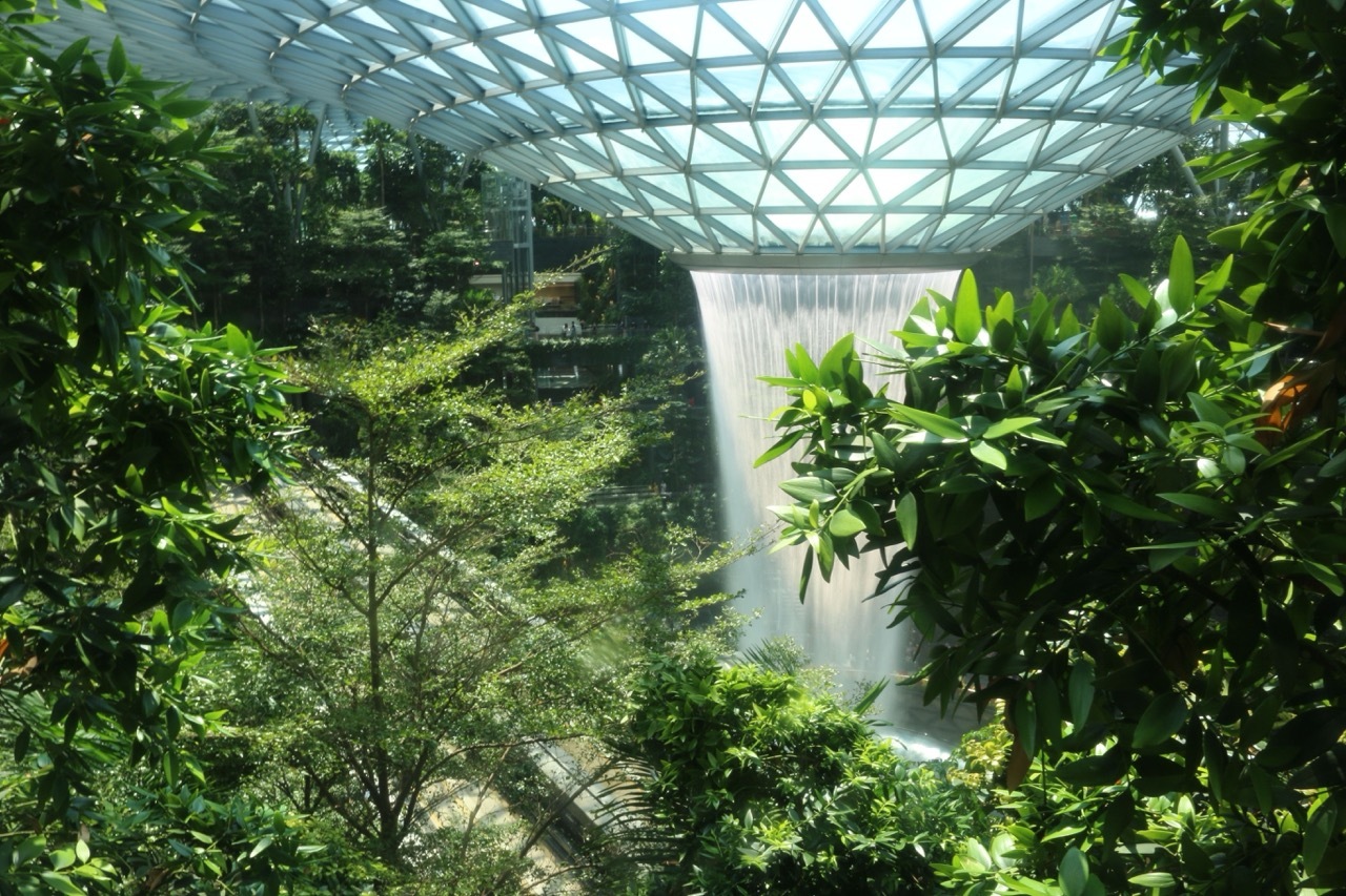 Singapore Changi Airport image