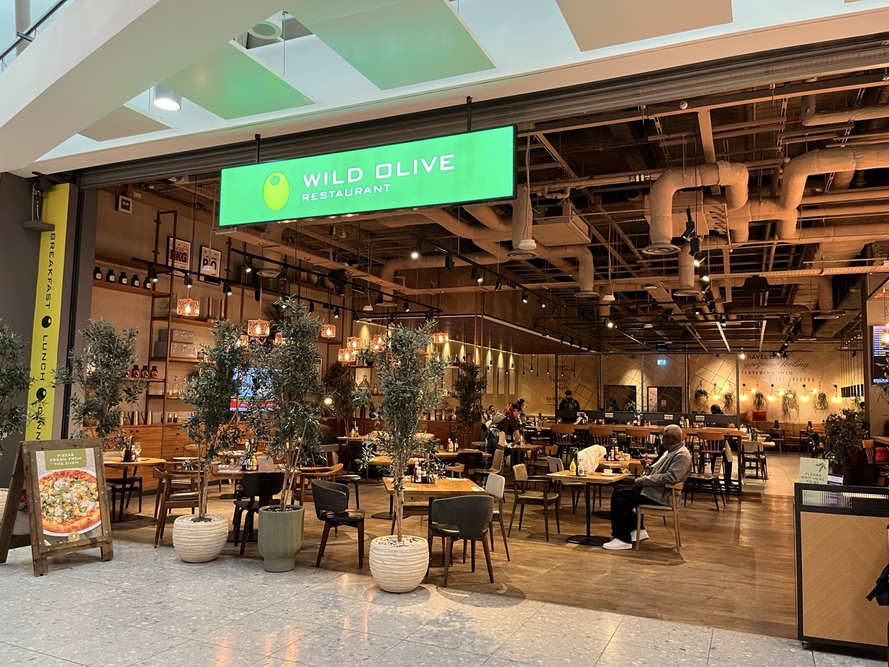 Wild Olive