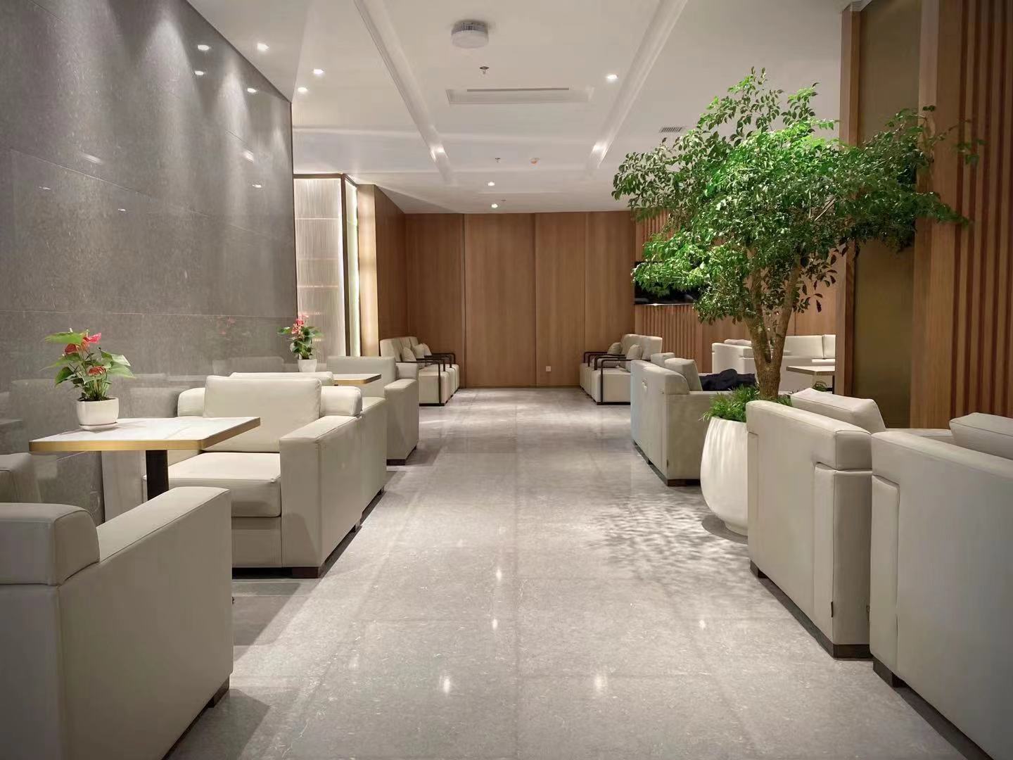 VIP Lounge (T3 Dom)