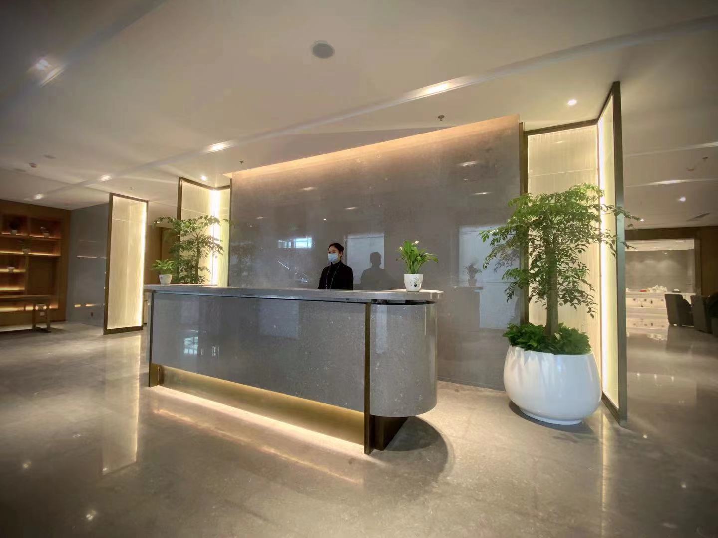 VIP Lounge (T3 Dom)