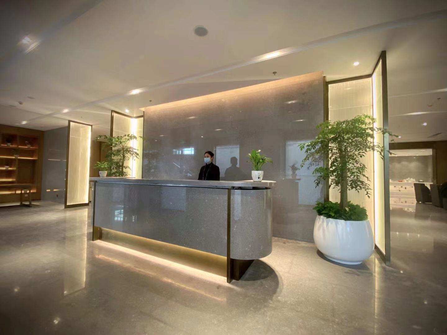 VIP Lounge (T3 Dom)