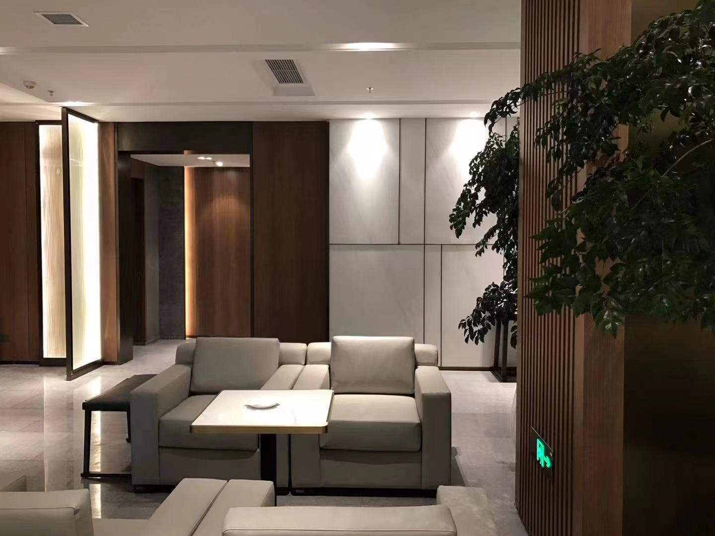 VIP Lounge (T3 Dom)