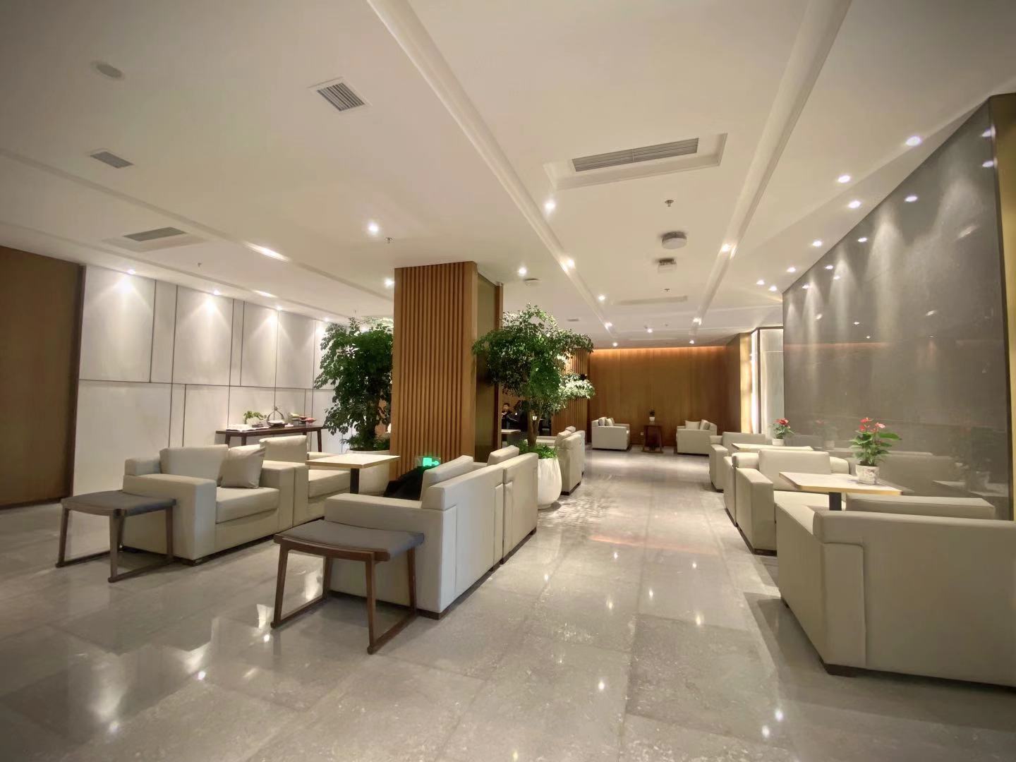 VIP Lounge (T3 Dom)
