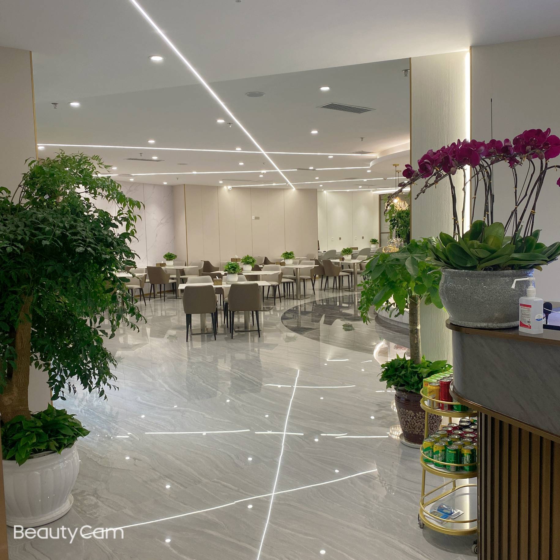 Skypearl Lounge(T3-Intl)