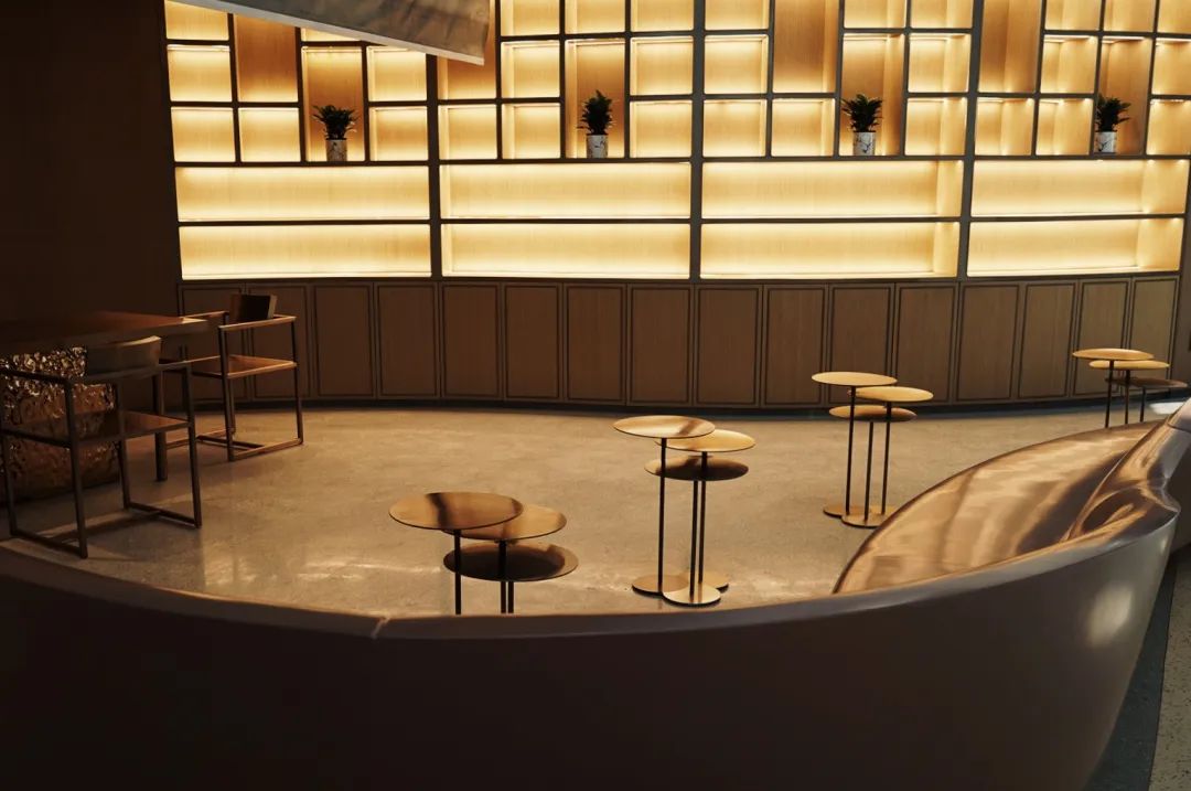 VIP Lounge V25 (Int T4) - interior view 2