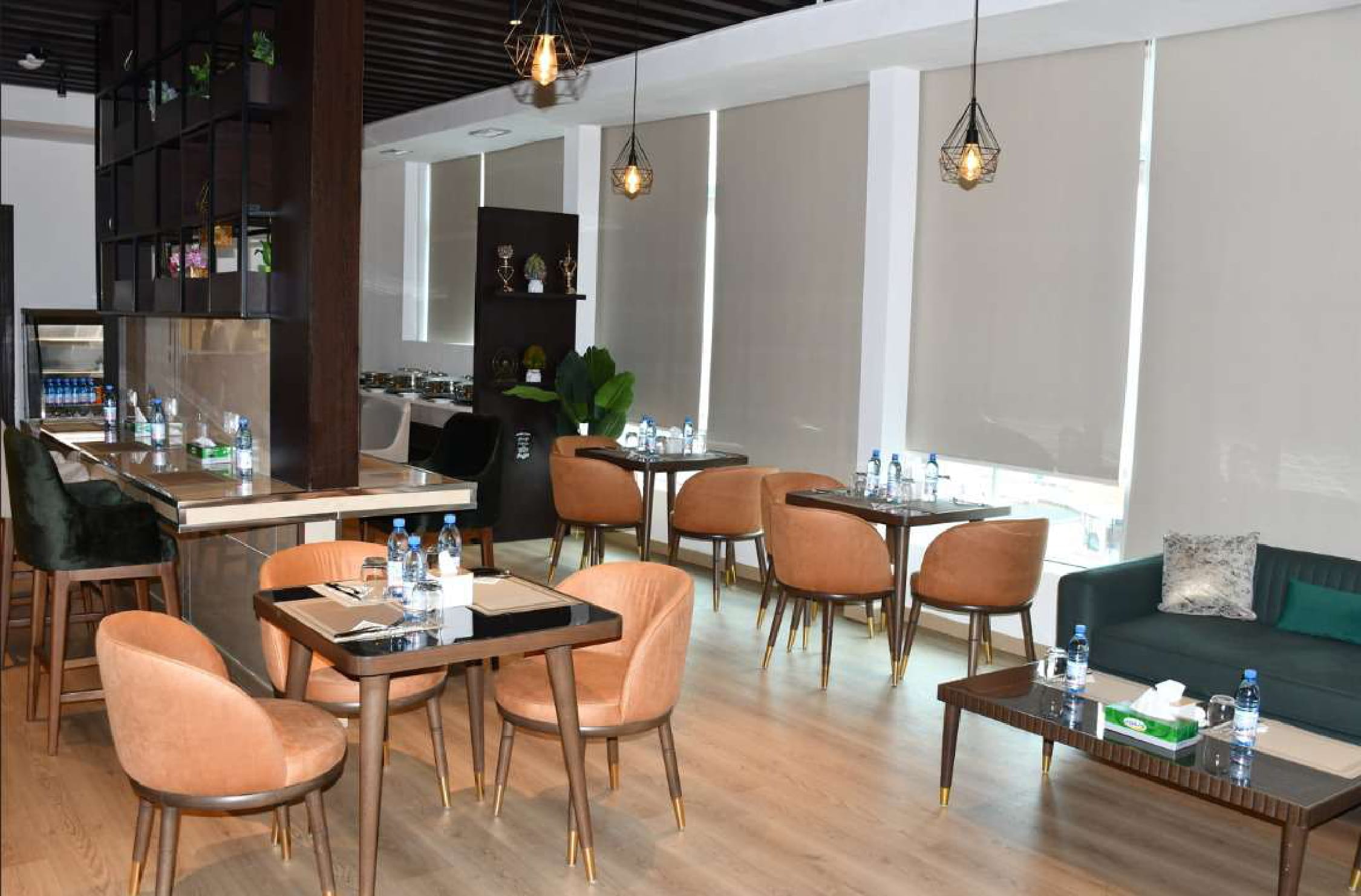 Bravia Platinum Lounge - interior view 2