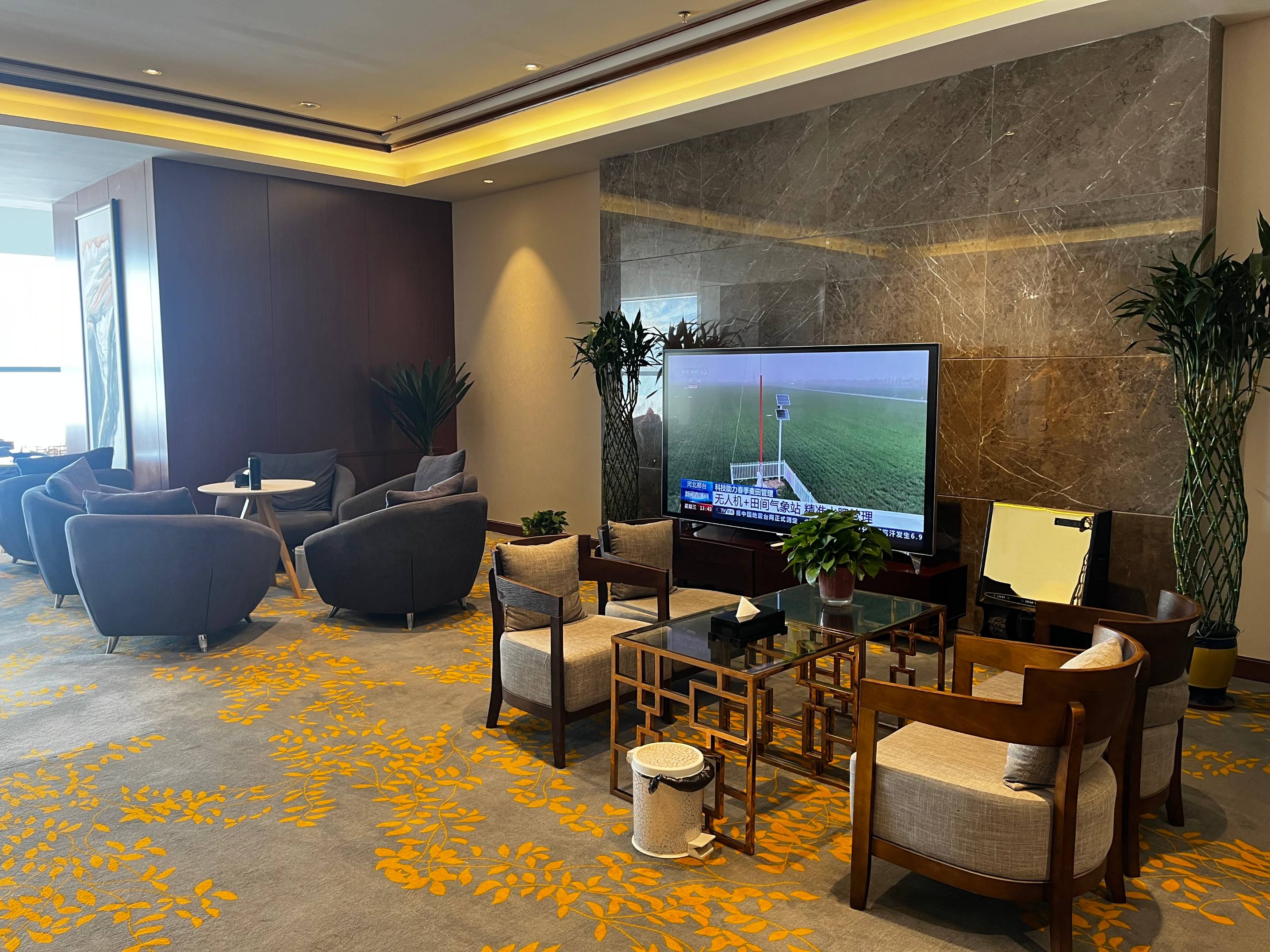 First Class Lounge(T2)