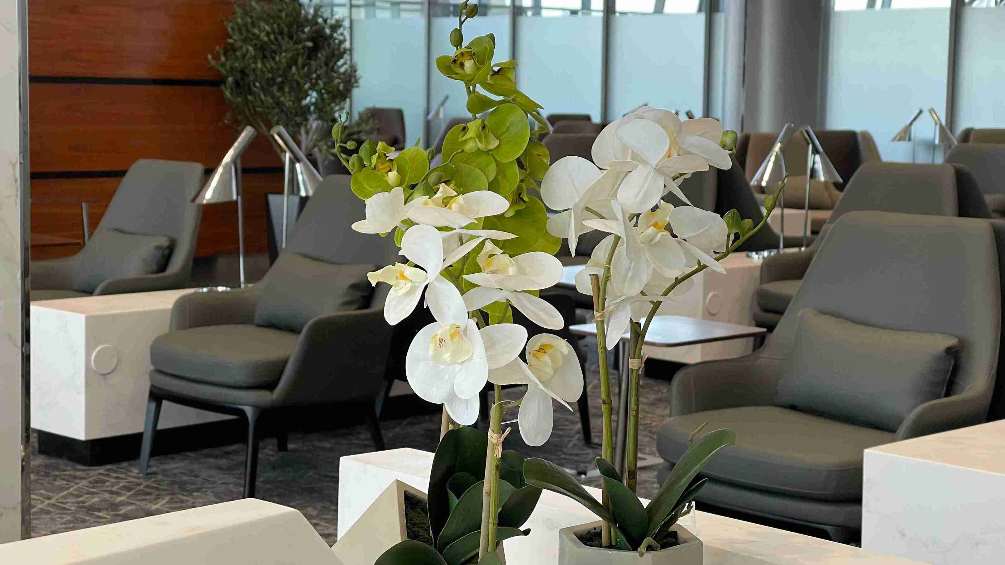 Hayyak Lounge - interior view 4