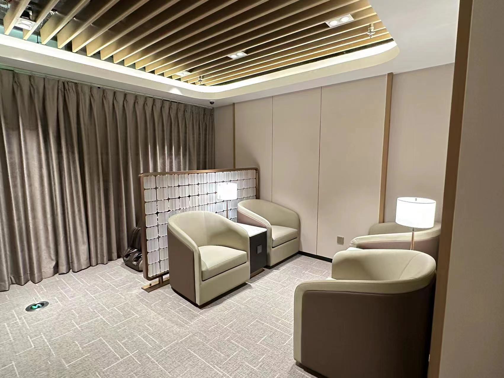 VIP Service domestic Lounge 2 - interior view 3