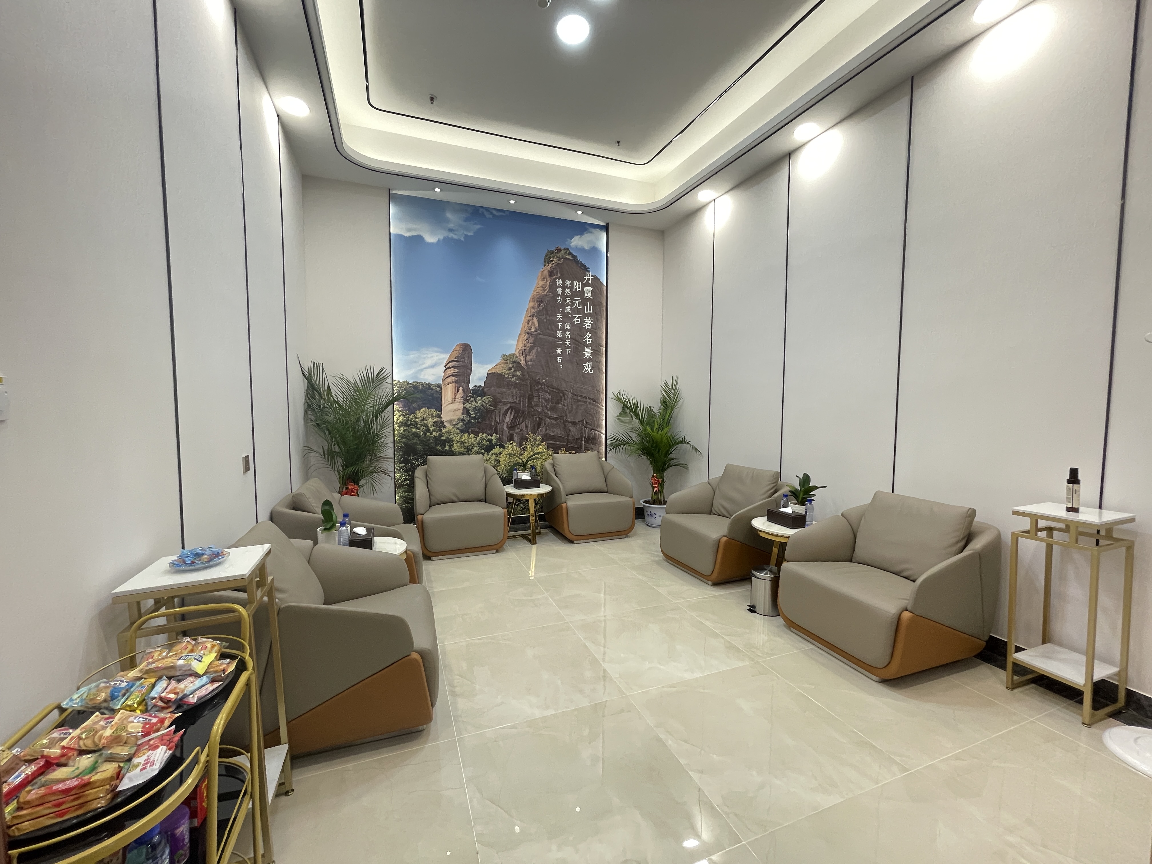 VIP Lounge - interior view 3