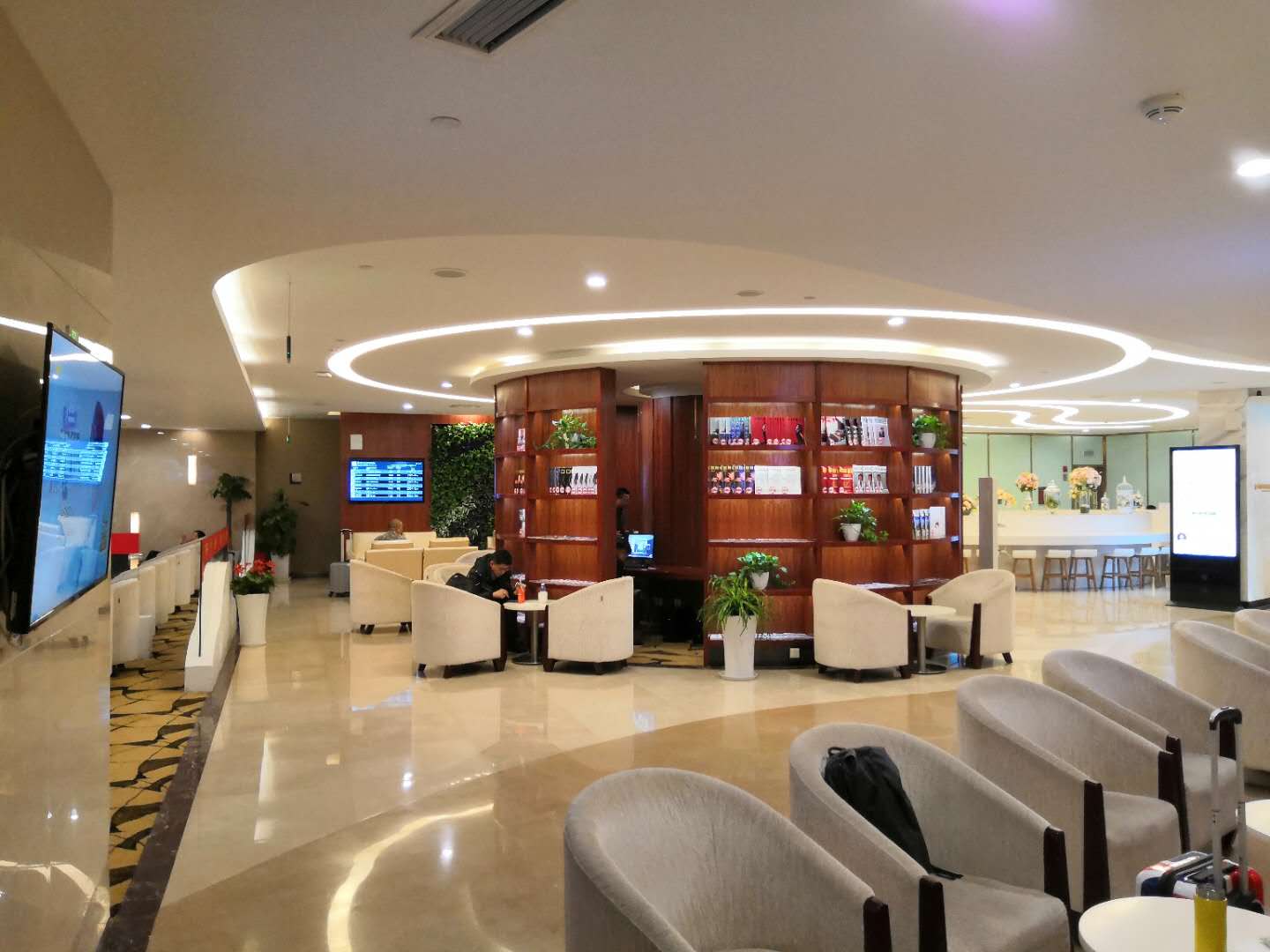 South Airlines Pearl Gold and Silver Card VIP Lounge (T3 Domestic)