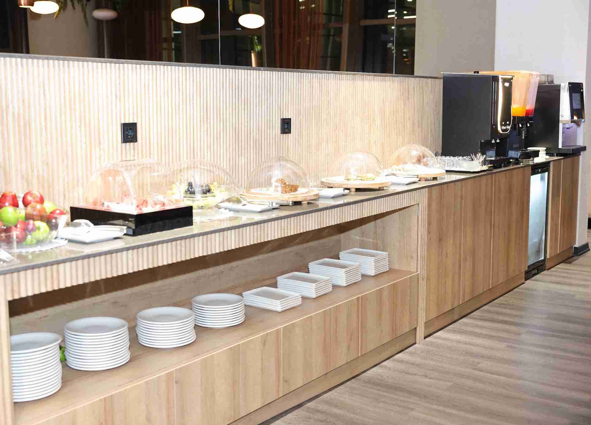 Platinum Lounge (Domestic)