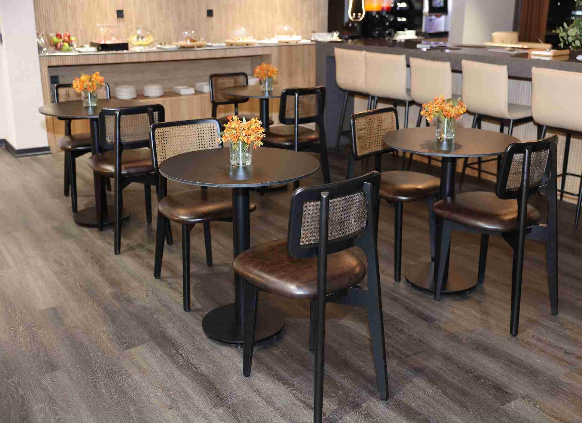 Platinum Lounge (Domestic) - interior view 2