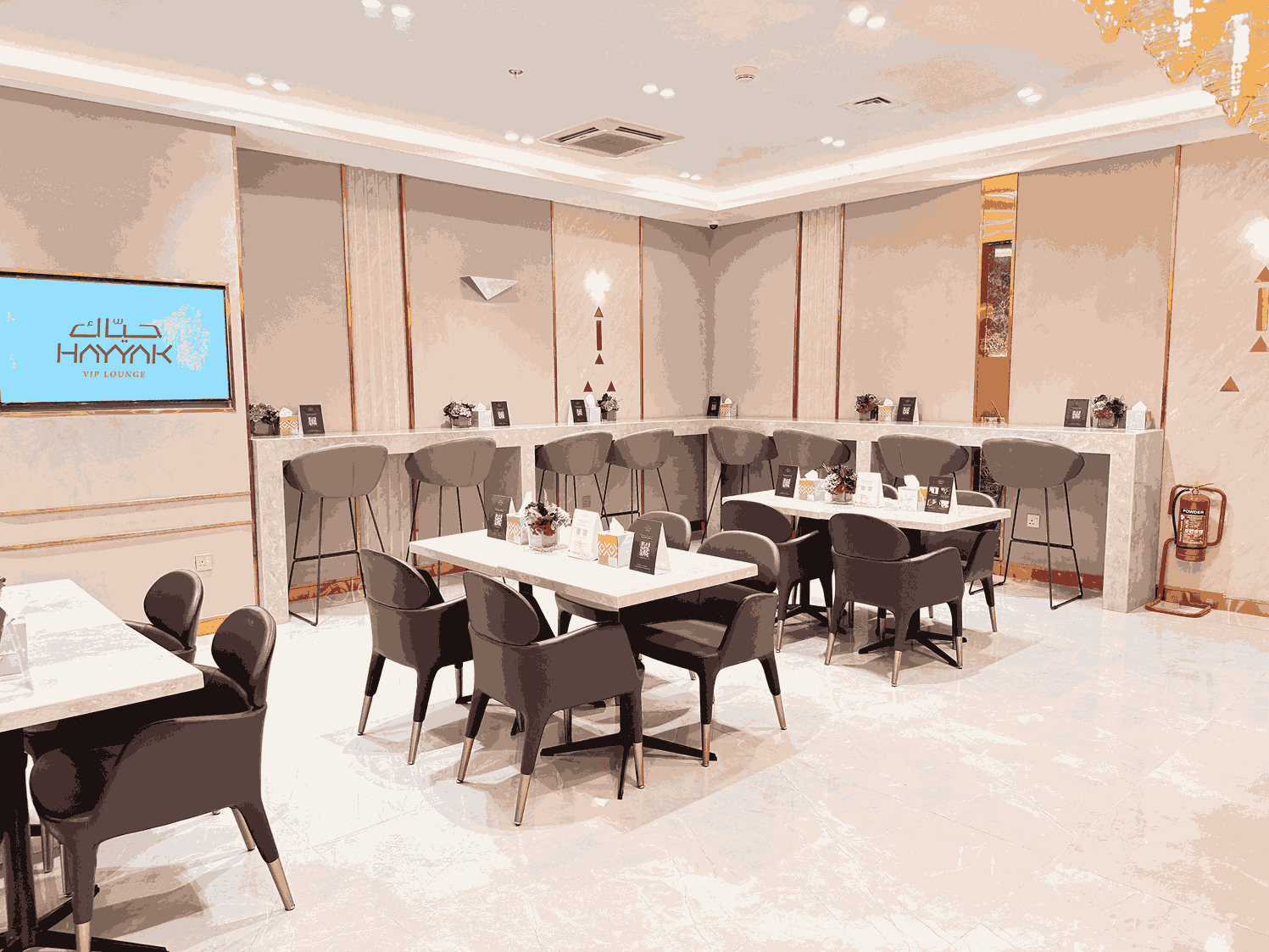 Hayyak VIP Lounge - Medina