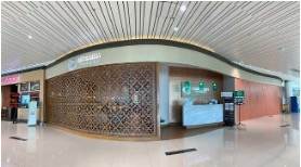 Concordia Lounge (Domestic)