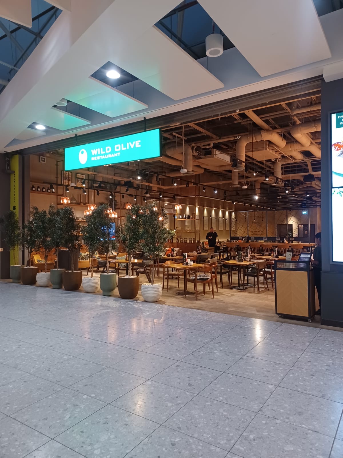 Wild Olive (Coming soon)