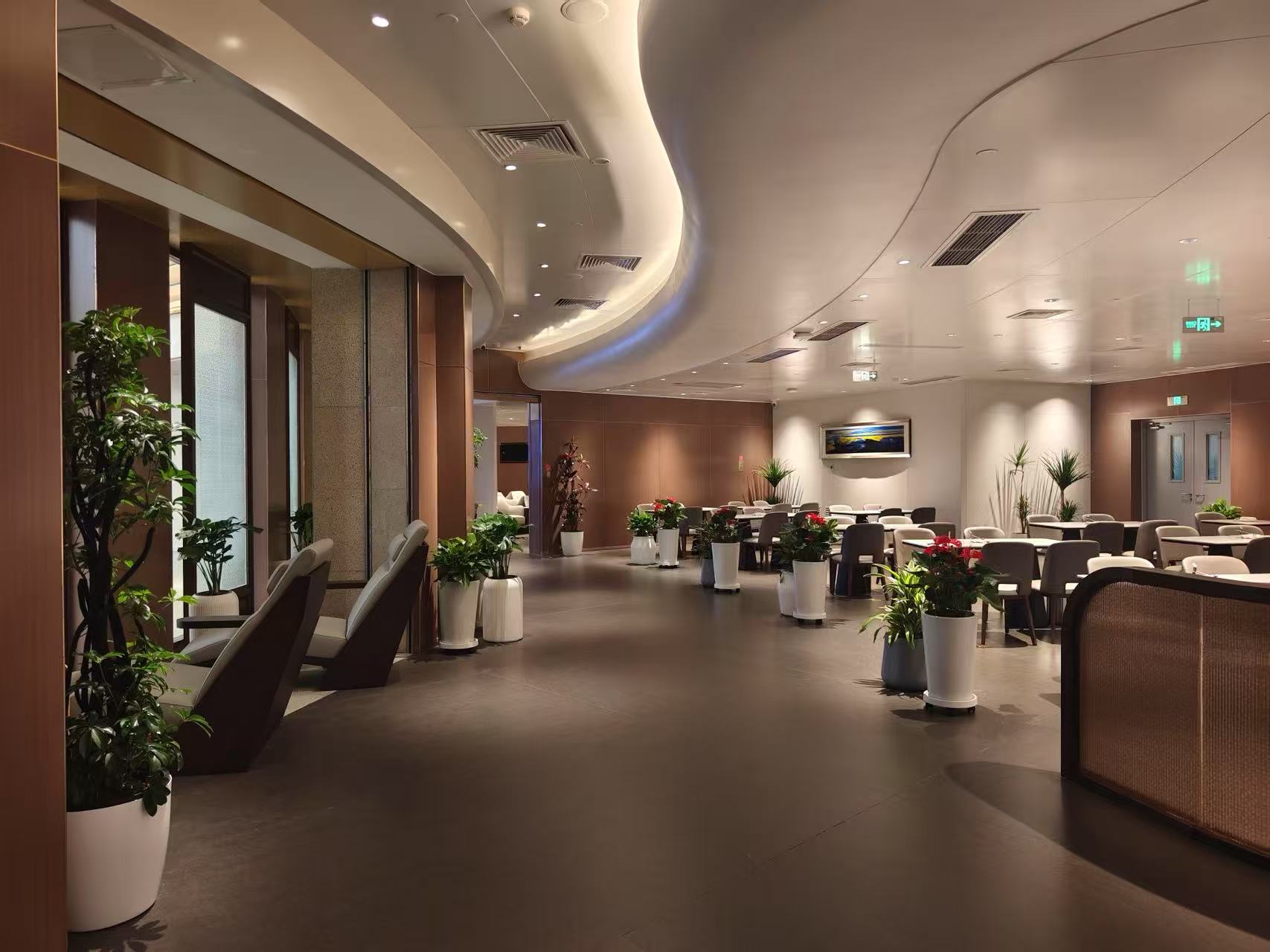 China Southern Airlines Kapok Lounge (International)