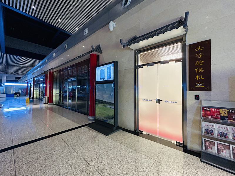 VIP Lounge (Landside)