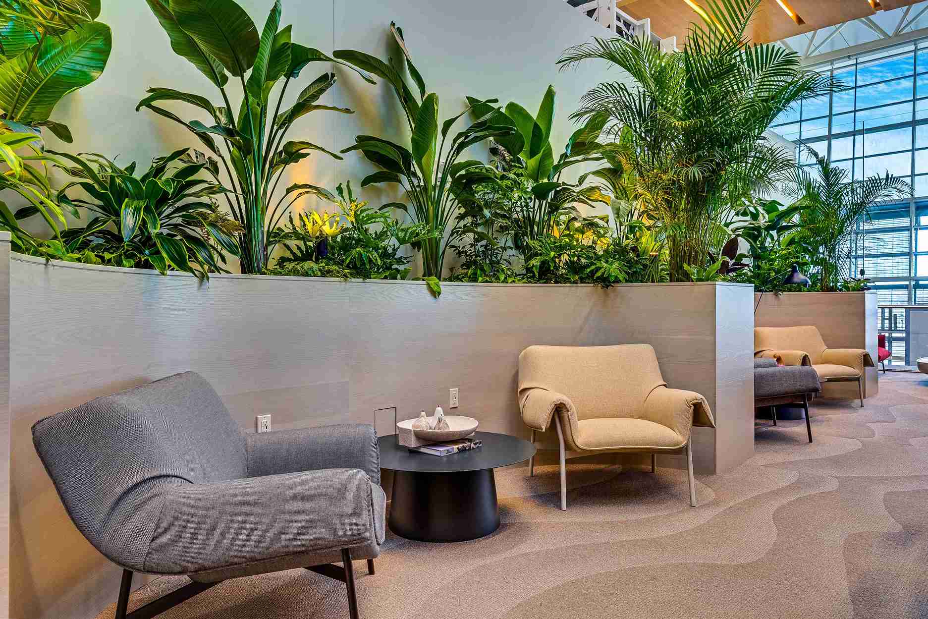 Aspire Lounge Transborder
