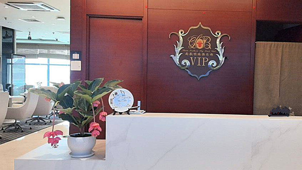 South Airlines First Class and Business Class Pearl Member Lounge (T3 International)