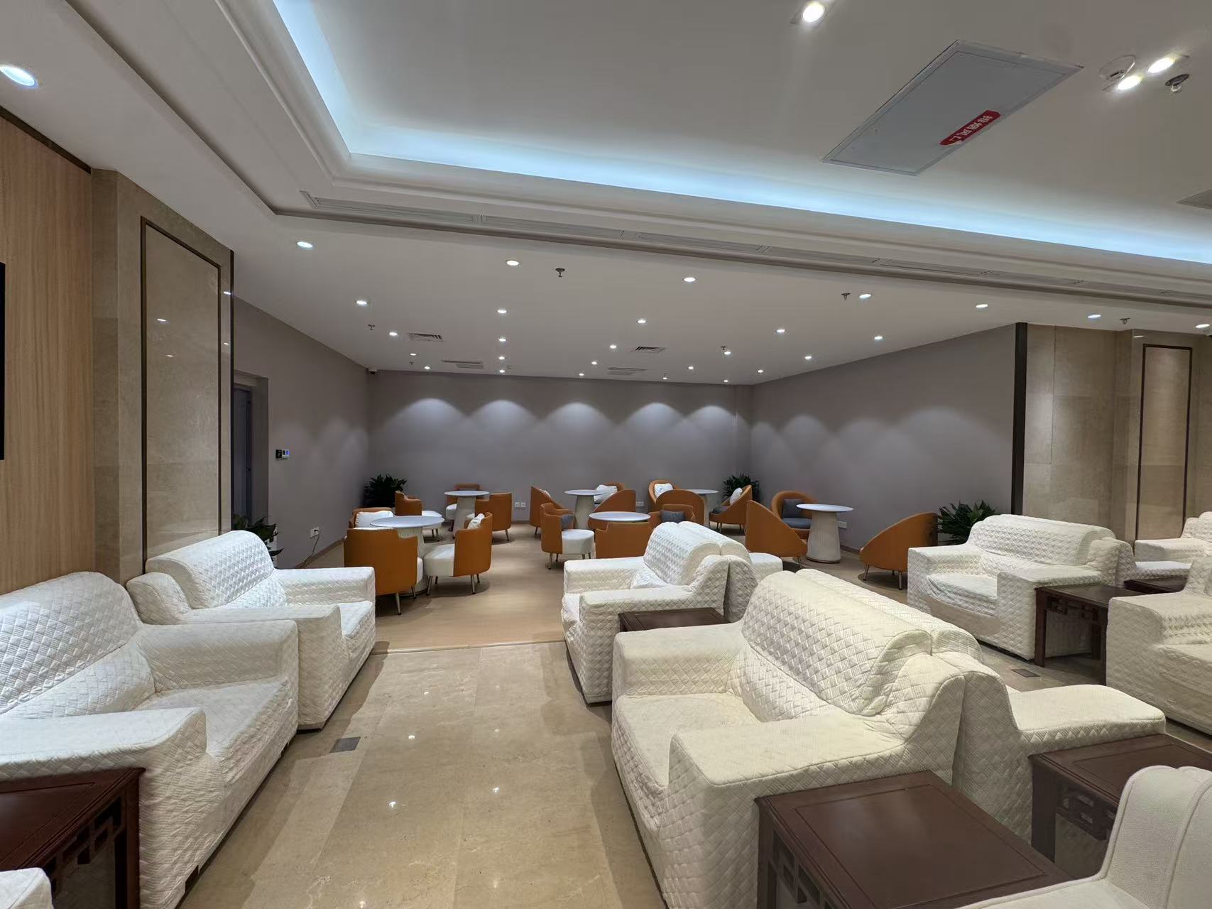 First Class Lounge (Dom)