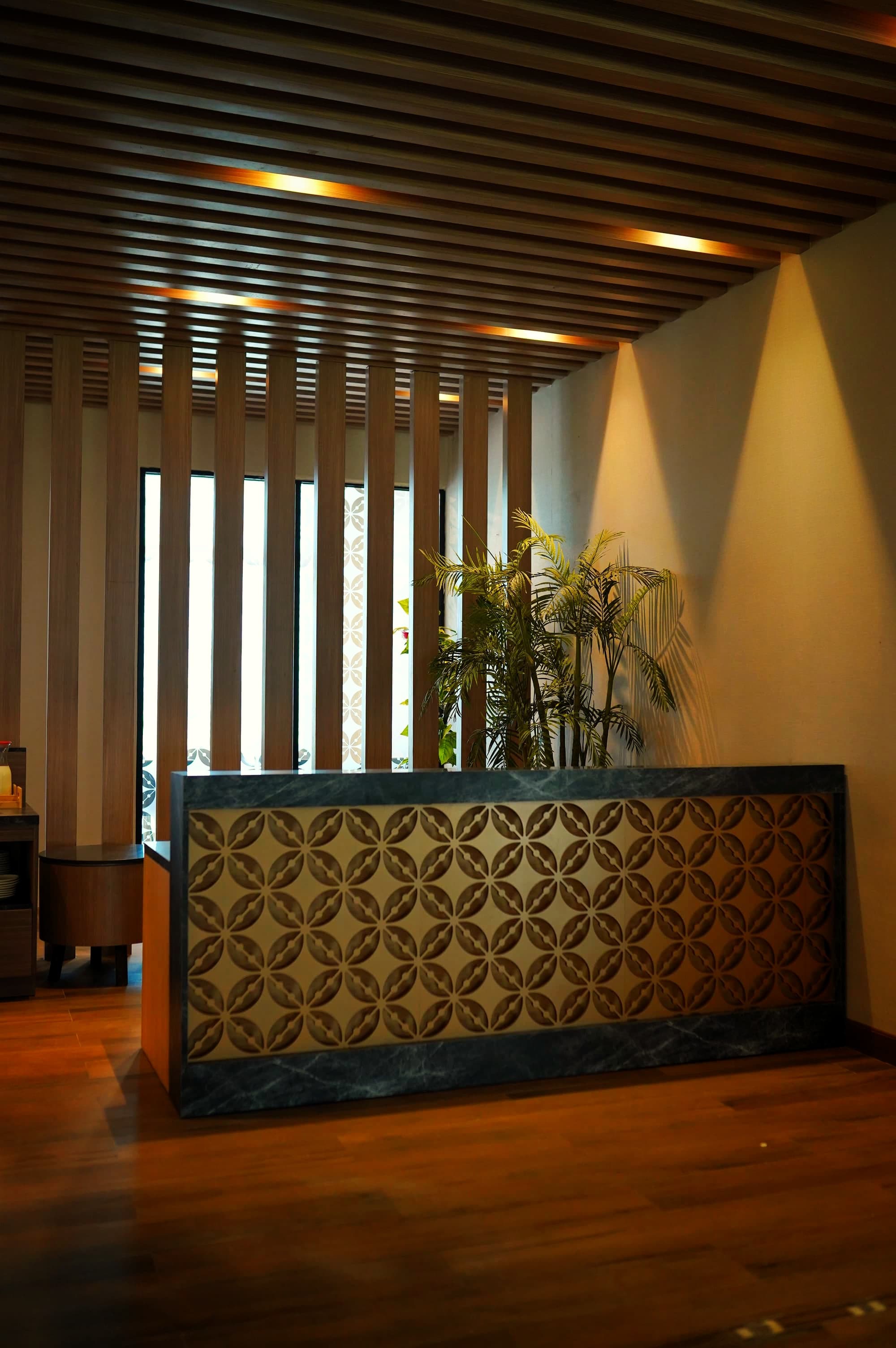 Concordia Lounge(Domestic)