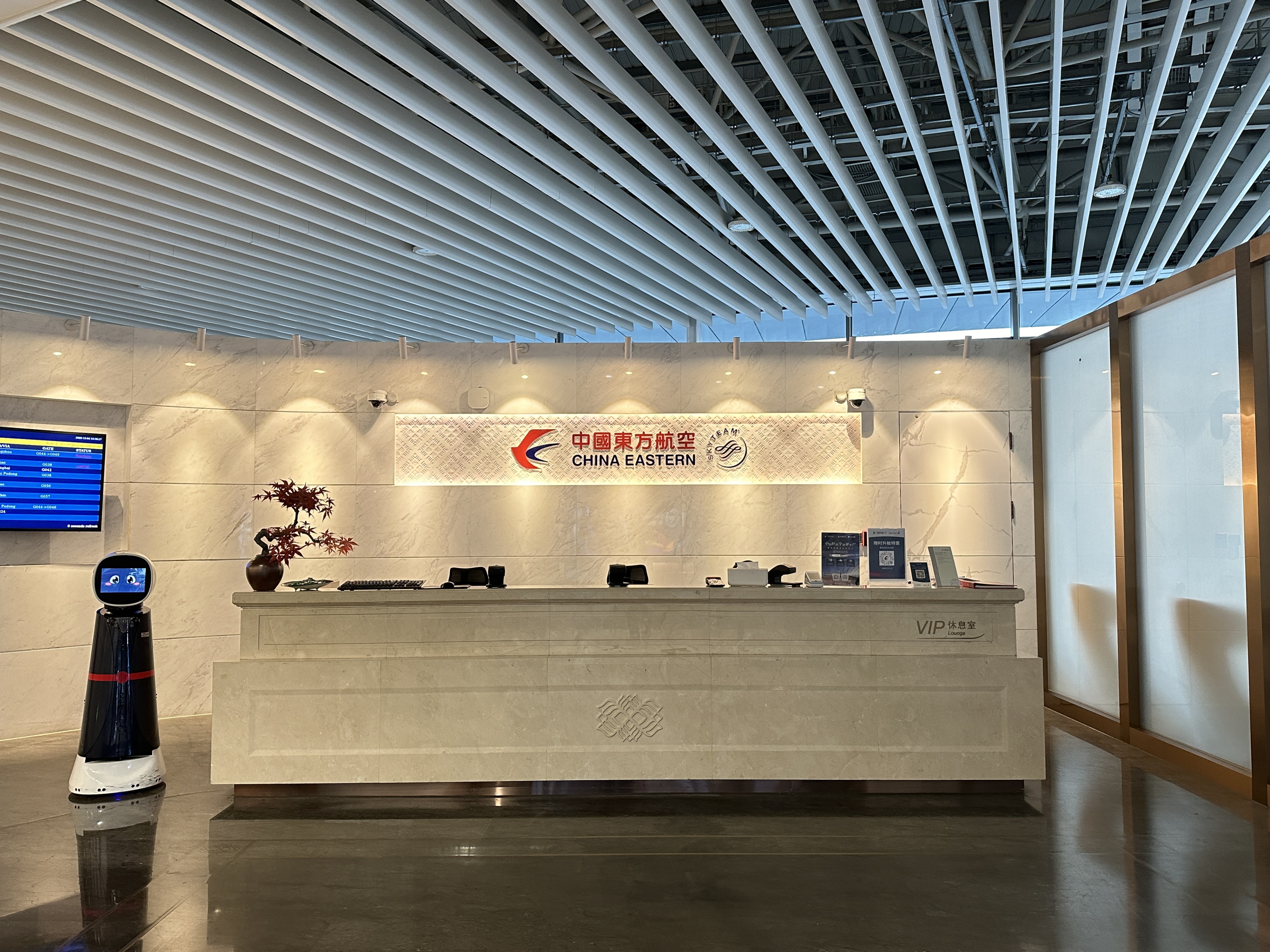 China Eastern First and Business Class VIP Lounge V5 (Main Terminal) image