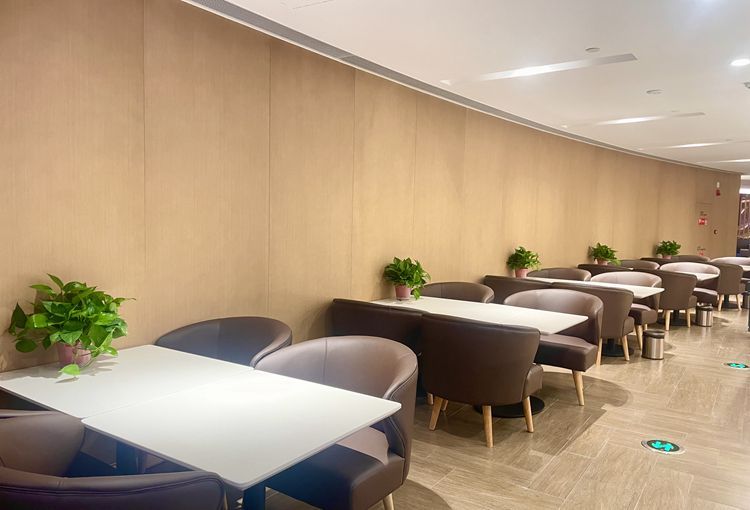 China Eastern First and Business Class VIP Lounge V5 (Main Terminal) image